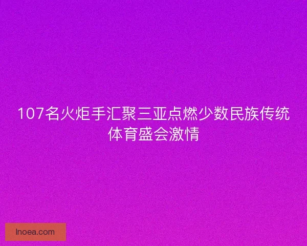 107名火炬手汇聚三亚点燃少数民族传统体育盛会激情 107名火炬手汇聚三亚点燃少数民族传统体育盛会激情