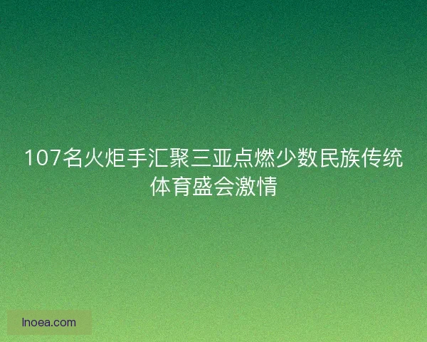107名火炬手汇聚三亚点燃少数民族传统体育盛会激情 107名火炬手汇聚三亚点燃少数民族传统体育盛会激情